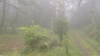 長野県菅平高原 ゆたか山荘 坂上 2026/09/21 14:30