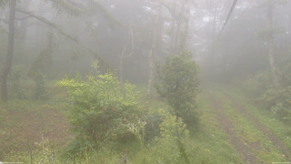 長野県菅平高原 ゆたか山荘 坂上 2026/09/21 14:45