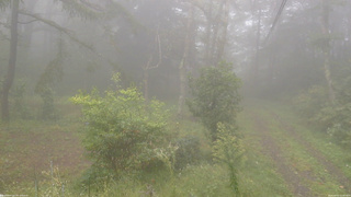 長野県菅平高原 ゆたか山荘 坂上 2026/09/21 15:00