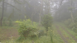 長野県菅平高原 ゆたか山荘 坂上 2026/09/21 15:15