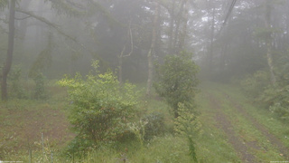 長野県菅平高原 ゆたか山荘 坂上 2026/09/21 15:30
