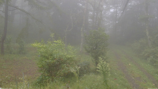 長野県菅平高原 ゆたか山荘 坂上 2026/09/21 15:45