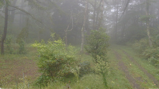 長野県菅平高原 ゆたか山荘 坂上 2026/09/21 16:15