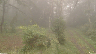 長野県菅平高原 ゆたか山荘 坂上 2026/09/21 17:30