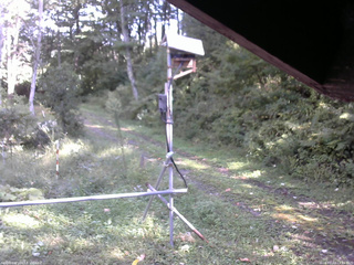 長野県菅平高原 ゆたか山荘 南側 2026/09/22 13:45
