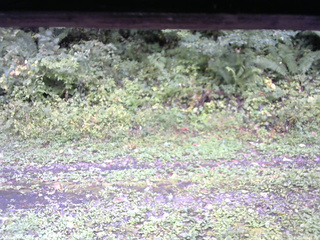 長野県菅平高原 ゆたか山荘 東側(坂下) 2026/09/22 08:15