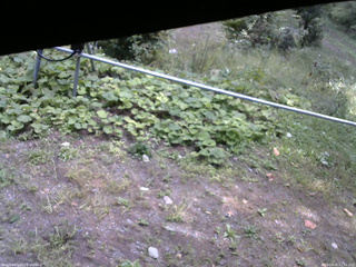 長野県菅平高原 ゆたか山荘 駐車場 2026/09/22 12:30
