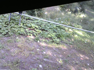 長野県菅平高原 ゆたか山荘 駐車場 2026/09/22 13:45