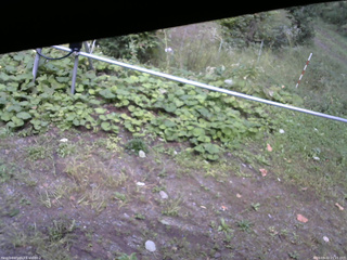 長野県菅平高原 ゆたか山荘 駐車場 2026/09/22 15:15