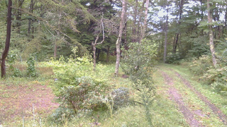 長野県菅平高原 ゆたか山荘 坂上 2026/09/22 08:15