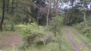長野県菅平高原 ゆたか山荘 坂上 2026/09/22 08:30