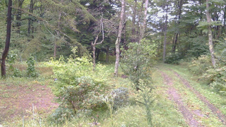 長野県菅平高原 ゆたか山荘 坂上 2026/09/22 08:45