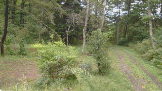 長野県菅平高原 ゆたか山荘 坂上 2026/09/22 09:00