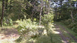 長野県菅平高原 ゆたか山荘 坂上 2026/09/22 10:00