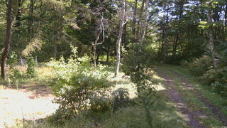 長野県菅平高原 ゆたか山荘 坂上 2026/09/22 10:30