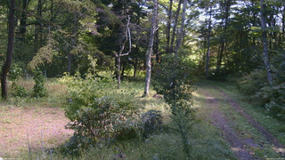 長野県菅平高原 ゆたか山荘 坂上 2026/09/22 10:45