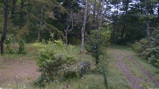 長野県菅平高原 ゆたか山荘 坂上 2026/09/22 11:00