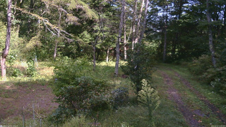 長野県菅平高原 ゆたか山荘 坂上 2026/09/22 13:30