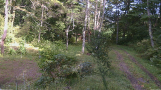長野県菅平高原 ゆたか山荘 坂上 2026/09/22 14:00