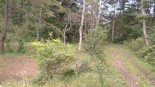 長野県菅平高原 ゆたか山荘 坂上 2026/09/22 16:45