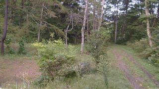 長野県菅平高原 ゆたか山荘 坂上 2026/09/22 17:00