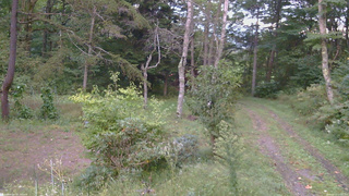 長野県菅平高原 ゆたか山荘 坂上 2026/09/22 17:30