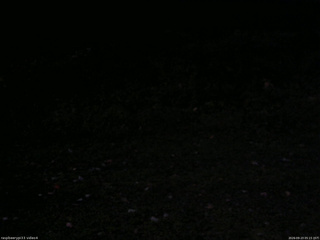 長野県菅平高原 ゆたか山荘 東側(坂下) 2026/09/23 05:15