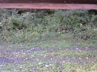 長野県菅平高原 ゆたか山荘 東側(坂下) 2026/09/23 09:00
