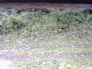 長野県菅平高原 ゆたか山荘 東側(坂下) 2026/09/23 11:15