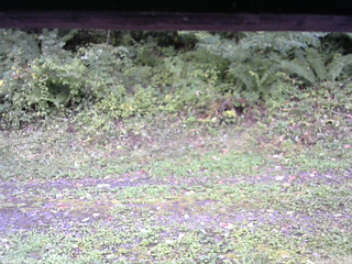 長野県菅平高原 ゆたか山荘 東側(坂下) 2026/09/23 15:00
