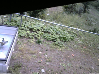 長野県菅平高原 ゆたか山荘 駐車場 2026/09/23 11:30