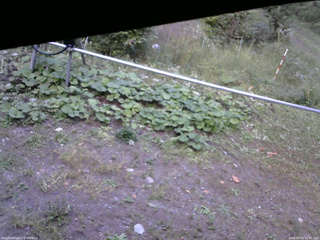 長野県菅平高原 ゆたか山荘 駐車場 2026/09/23 16:45
