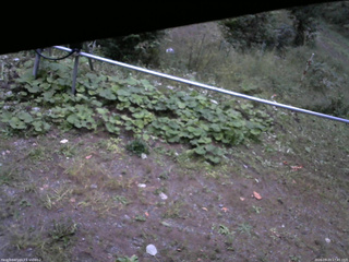 長野県菅平高原 ゆたか山荘 駐車場 2026/09/23 17:45