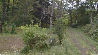長野県菅平高原 ゆたか山荘 坂上 2026/09/23 08:30