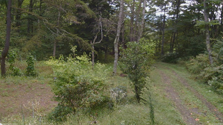 長野県菅平高原 ゆたか山荘 坂上 2026/09/23 09:15