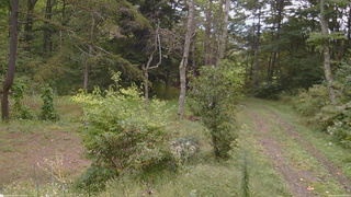 長野県菅平高原 ゆたか山荘 坂上 2026/09/23 09:30