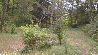 長野県菅平高原 ゆたか山荘 坂上 2026/09/23 09:45