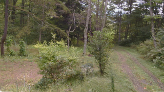 長野県菅平高原 ゆたか山荘 坂上 2026/09/23 10:00