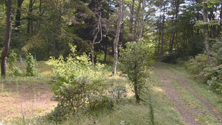 長野県菅平高原 ゆたか山荘 坂上 2026/09/23 10:15