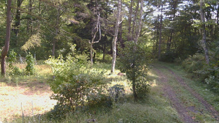 長野県菅平高原 ゆたか山荘 坂上 2026/09/23 10:30