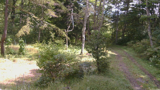 長野県菅平高原 ゆたか山荘 坂上 2026/09/23 11:00