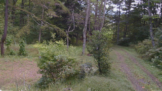 長野県菅平高原 ゆたか山荘 坂上 2026/09/23 11:30