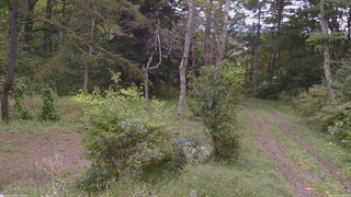 長野県菅平高原 ゆたか山荘 坂上 2026/09/23 14:00