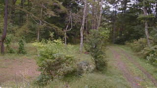 長野県菅平高原 ゆたか山荘 坂上 2026/09/23 15:15