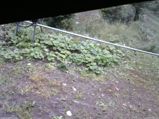 長野県菅平高原 ゆたか山荘 駐車場 2026/09/24 08:00