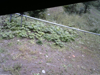 長野県菅平高原 ゆたか山荘 駐車場 2026/09/24 10:00