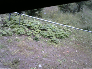 長野県菅平高原 ゆたか山荘 駐車場 2026/09/24 11:15