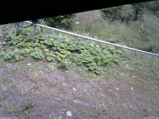 長野県菅平高原 ゆたか山荘 駐車場 2026/09/24 13:15
