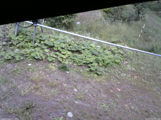 長野県菅平高原 ゆたか山荘 駐車場 2026/09/24 15:30