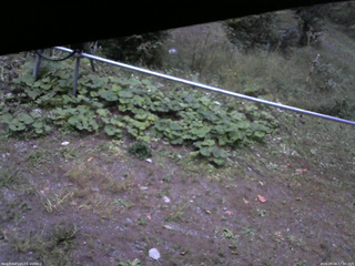 長野県菅平高原 ゆたか山荘 駐車場 2026/09/24 17:30